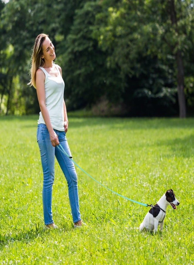 مايل هاي لايف طوق كلاب متين من مايل هاي لايف للكلاب الكبيرة والمتوسطة، طوق عاكس للضوء لضمان السلامة الليلية، أطواق قوية ومتينة للمشي والتدريب (4 أقدام × 3/5 بوصة عرض، أزرق) - Image 4